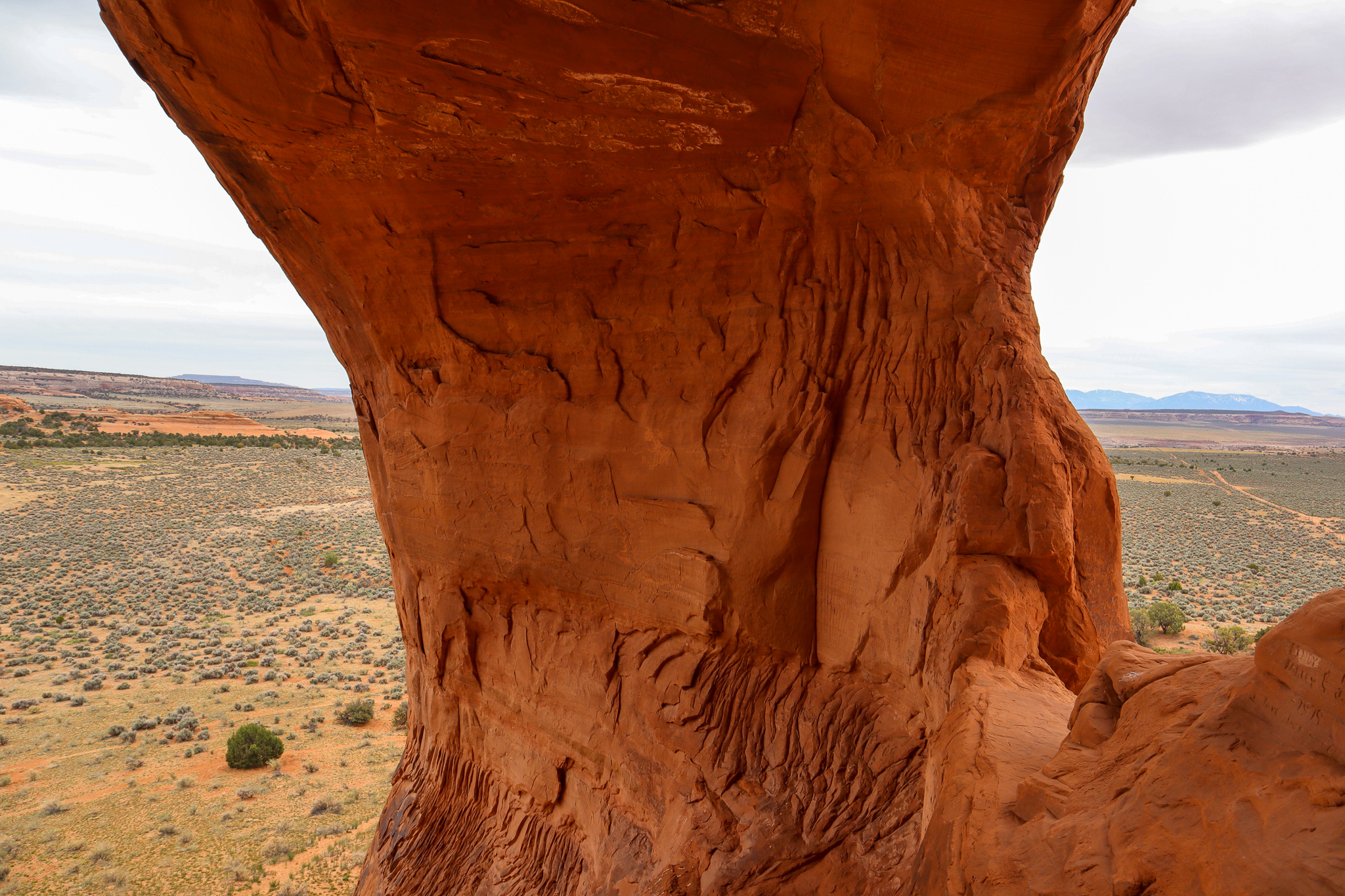 moab red rocks - photography - aimee evans